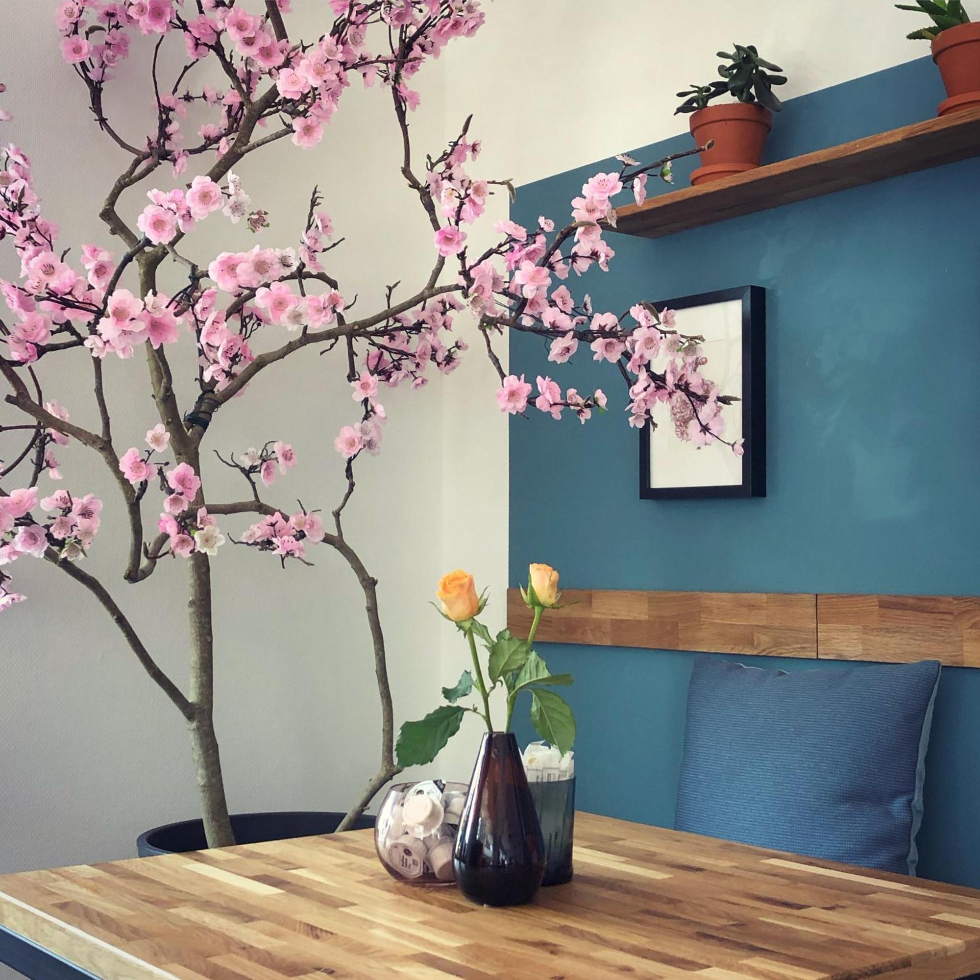 Apartment Kirschbluete2 *